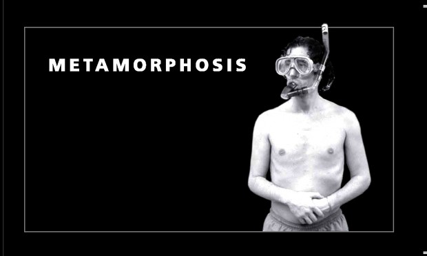 Portada Metamorphosis